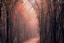 20分大胜,恭喜中国男篮又赢了!一战诞生3大功臣,也揪出拉胯1人