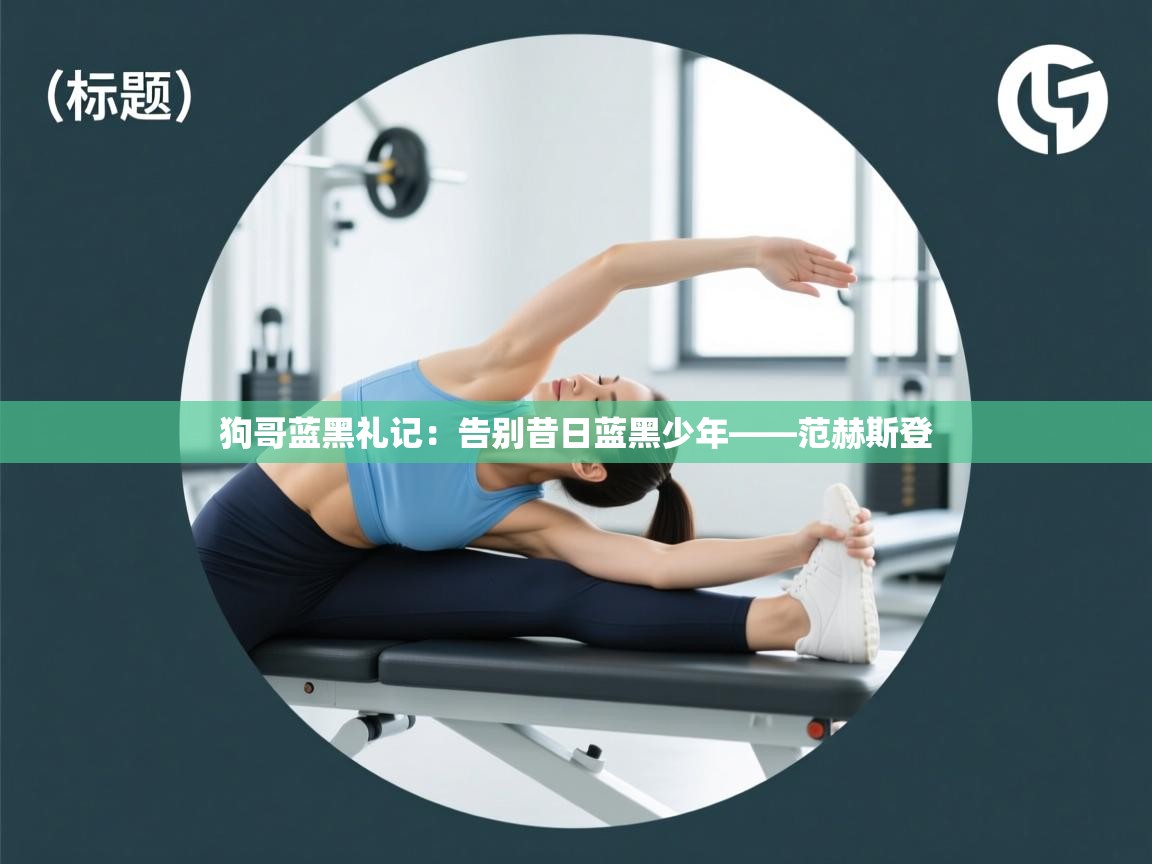 狗哥蓝黑礼记:告别昔日蓝黑少年——范赫斯登 第2张