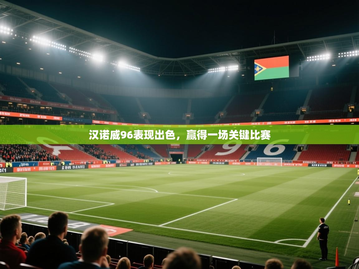 汉诺威96表现出色，赢得一场关键比赛  第2张