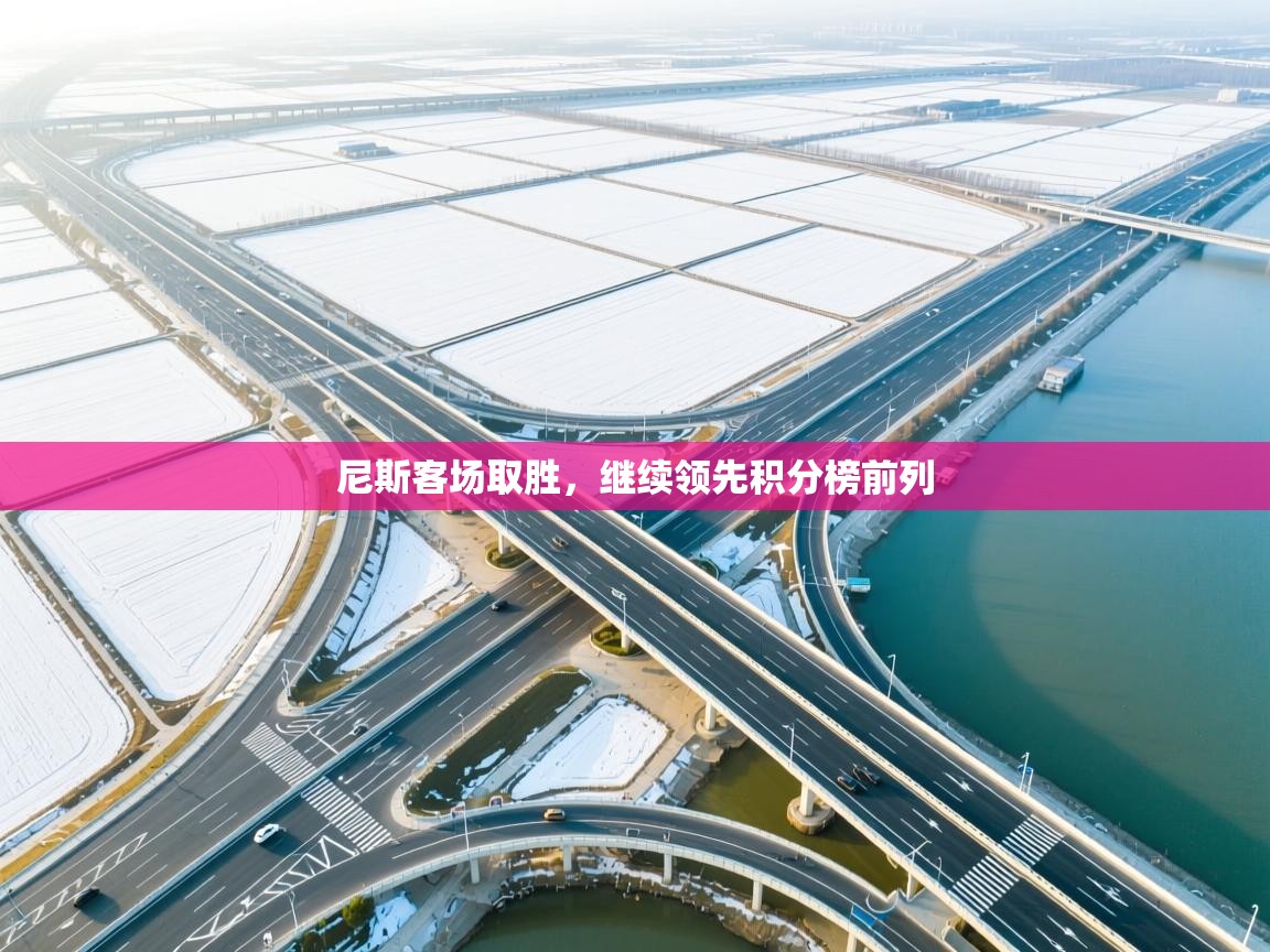 尼斯客场取胜，继续领先积分榜前列  第1张