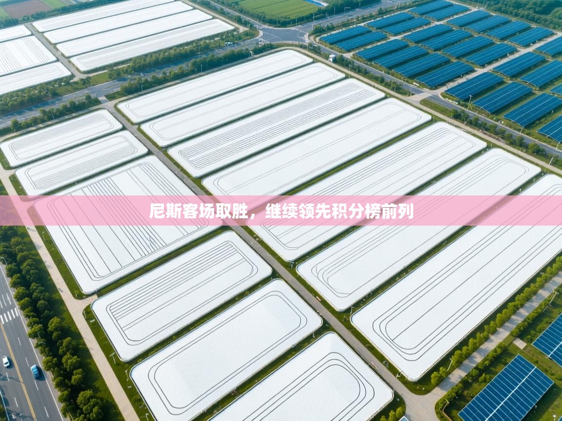 尼斯客场取胜，继续领先积分榜前列  第2张